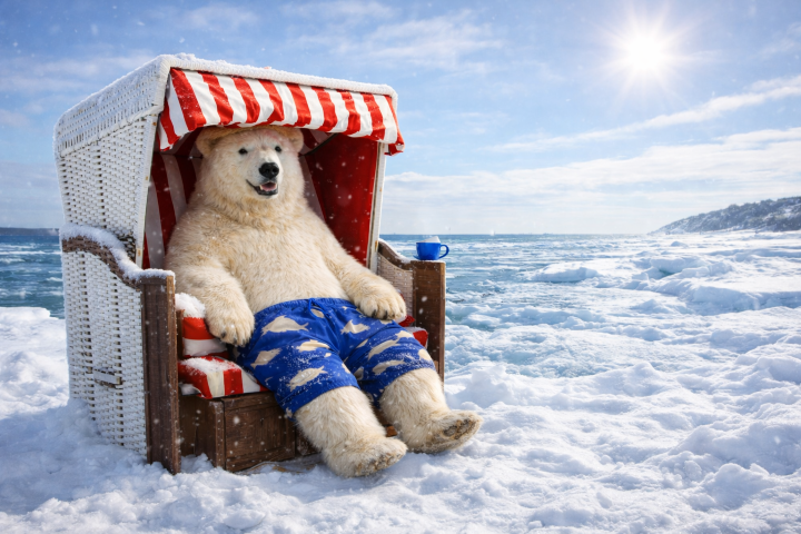 Strandkorb Schilksee